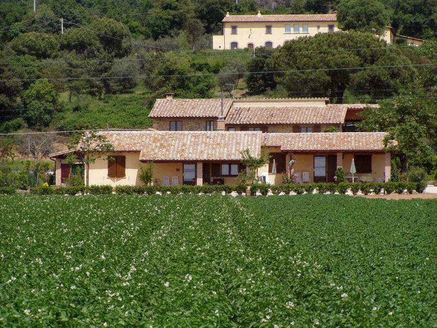 Agriturismo Casale del Contadino Bolsena Esterno foto