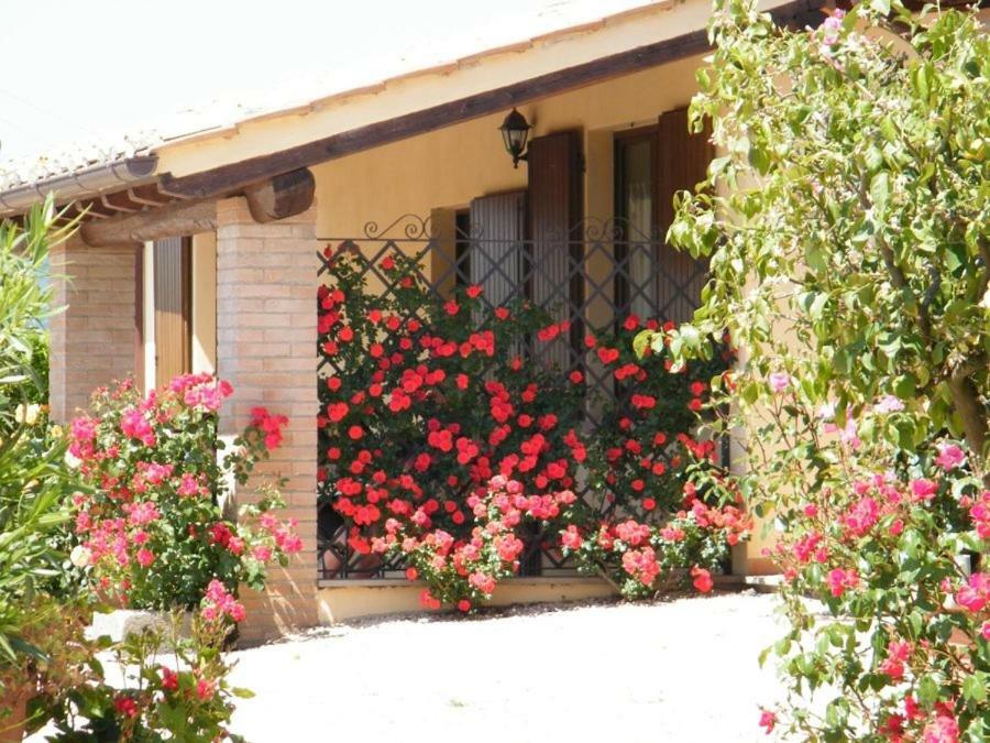 Agriturismo Casale del Contadino Bolsena Esterno foto