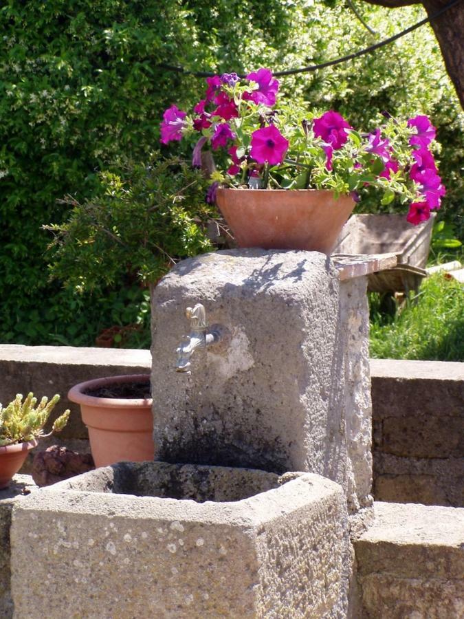 Agriturismo Casale del Contadino Bolsena Esterno foto